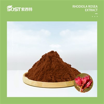 20240808гликлер1.