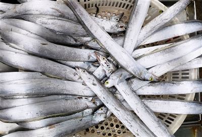 Дсадсадсадсад тили